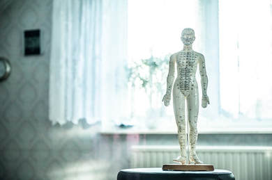 A photo of an acupuncture model displaying acupuncture points